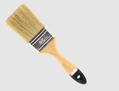 Professional Paint Brush